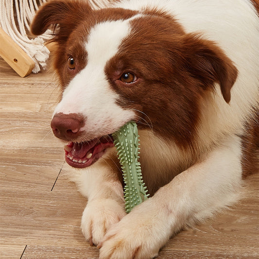 Chew Toys For Dog Teeth Cleaning petfuzzyfamily