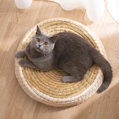 Teng Wok Felt House Cat Bed petfuzzyfamily