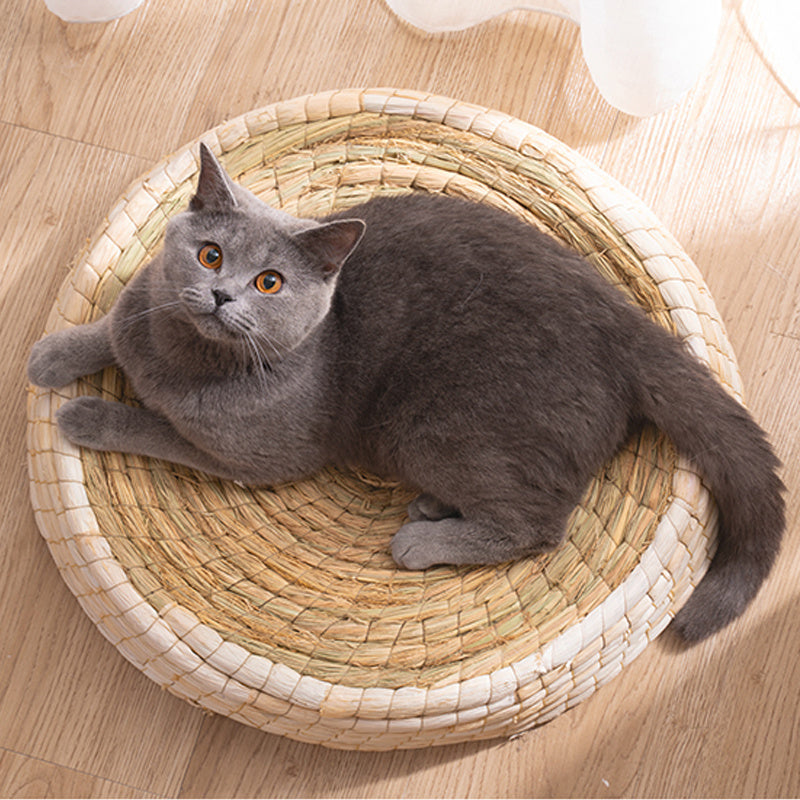 Teng Wok Felt House Cat Bed petfuzzyfamily