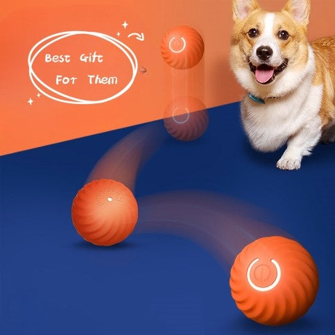 Pet Dog Rubber Ball Toys For Dogs Resistance To Bite Dog Chew Toys Puppy Pets Dogs Training Products petfuzzyfamily